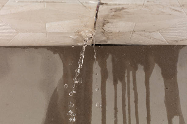 Professional Sewage Cleanup technician working in Cope, SC